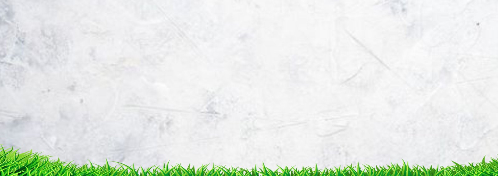 white background with green grass